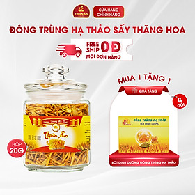 Đông Trùng Hạ Thảo Sấy Thăng Hoa Thiên Ân - Hũ 20g