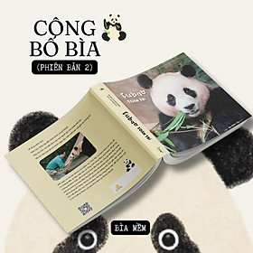 Fubao Toàn Trí - Bản Quyền