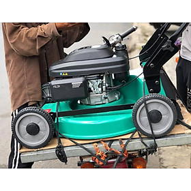 MÁY LÀM VƯỜN DÙNG XĂNG 160CC 480MM DCA A03SSS48 - HÀNG CHÍNH HÃNG