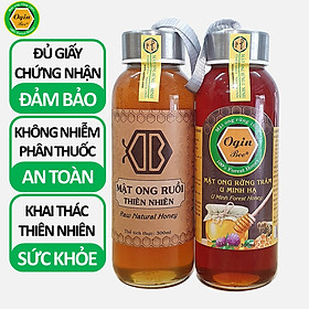 Mật ong ruồi và Mật ong rừng U Minh - Combo 2 Chai 300ml, Mật ong khai thác tự nhiên, không nuôi, OGINBEE