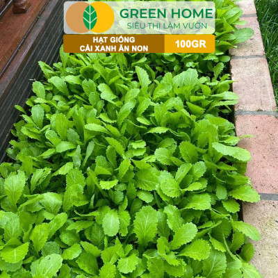 Hạt Giống Rau Cải Ăn Non GreenHome, GÓI 100GR, Dễ Trồng, Nảy Mầm Cao, Thu Hoạch,Năng Suất R29