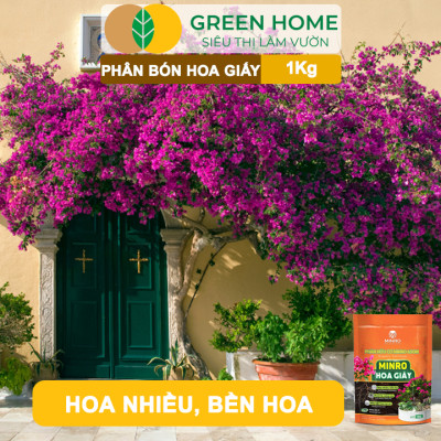 Phân Bón Hoa Giấy Greenhome, Minro, Bao 1kg, Hữu Cơ, Cứng Thân, Tạo Tán, Ra Bông Nhiều, Lâu Tàn