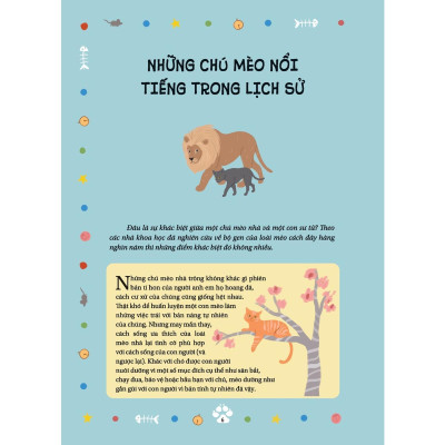 Những Câu Chuyện Về Loài Mèo - Những Câu Chuyện Có Thật Về Các Chú Mèo Phi Thường - Bản Quyền
