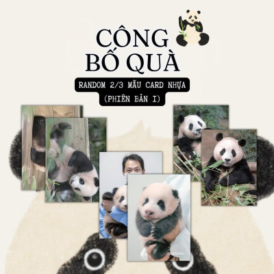 Fubao Toàn Trí - Bản Quyền