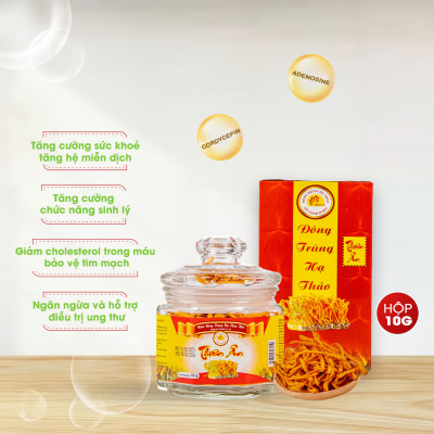 Đông Trùng Hạ Thảo Sấy Thăng Hoa Thiên Ân - Hũ 10g