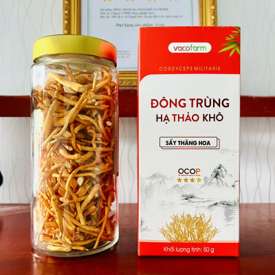 Combo 3 lọ khô 50gram thủy tinh Đông trùng hạ thảo sấy thăng hoa [Mua 2 được 3]