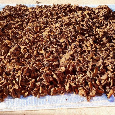 Đặc Sản Kon Tum - Ngọc Cẩu Khô Đặc Sản Kon Tum (Nấm Tỏa Dương) 1Kg - OCOP 3 Sao