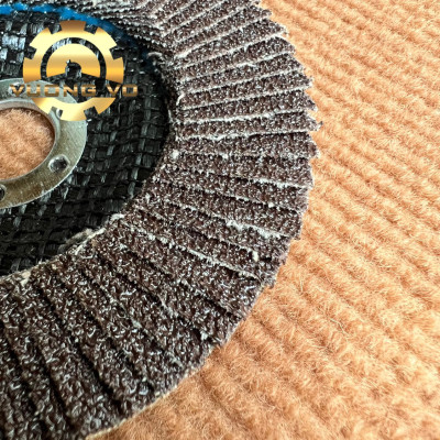 Nhám xếp Lionking-ráp xếp Lionking đường kính 100mm lỗ cốt 16mm (Gía đã bao gồm VAT)