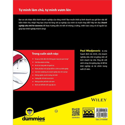 Sách - Doanh Nghiệp Siêu Nhỏ For Dummies - Thái Hà Books