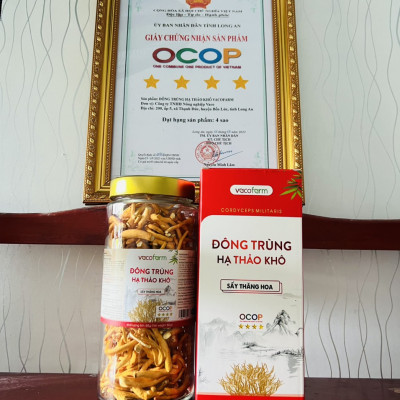 Combo 3 lọ khô 50gram thủy tinh Đông trùng hạ thảo sấy thăng hoa [Mua 2 được 3]