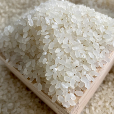 GẠO NHẬT HOKKAIDO YUMEPIRIKA - GẠO TRẮNG - XÁT DỐI