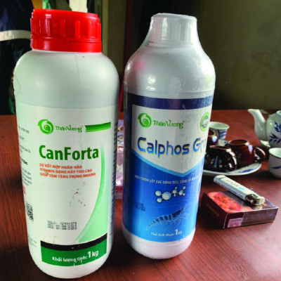 SIÊU TĂNG TRỌNG CHO TÔM CÁ CANFORTA