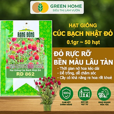 Hạt Giống Hoa Cúc Bách Nhật Đỏ GreenHome, Gói 0,1g~50 hạt, Dễ Trồng Quanh Năm, Ra Hoa Liên Tục H16