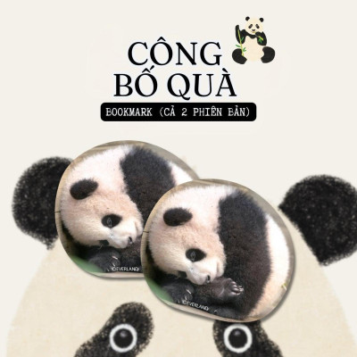 Fubao Toàn Trí - Bản Quyền