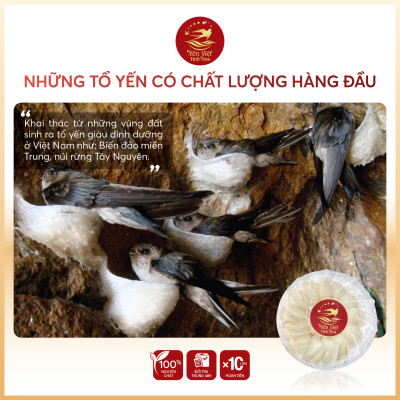 Tổ yến Tinh chế thượng hạng 50 gram Yến Việt Tinh Hoa - Hàng chính hãng