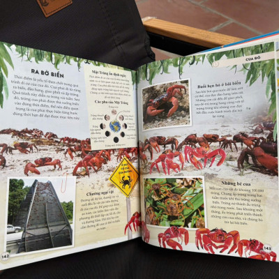 (Bìa cứng in màu) AMAZING ANIMAL JOURNEY – Những Chuyến Di Cư Và Hành Trình Phi Thường Nhất – Philippa Forrester – Phạm Trang dịch – Đinh Tị – NXB Hà Nội