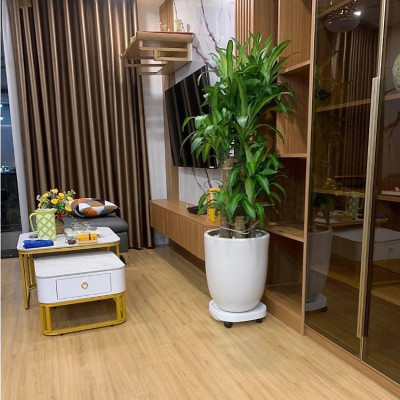 Đế Lót Chậu Hoa ,Kệ Cây Cảnh Có Bánh Xe Di Chuyển Đa Năng , Khay Hứng Nước Tiện Lợi Chịu Lực