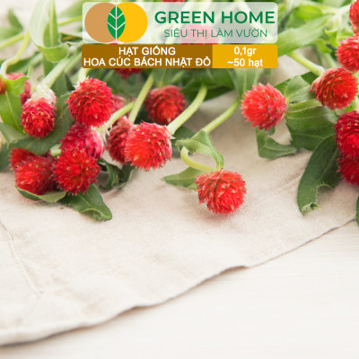 Hạt Giống Hoa Cúc Bách Nhật Đỏ GreenHome, Gói 0,1g~50 hạt, Dễ Trồng Quanh Năm, Ra Hoa Liên Tục H16