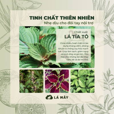 NƯỚC LAU BẾP TÍA TÔ & TRÀ XANH LÁ MÂY 500mL
