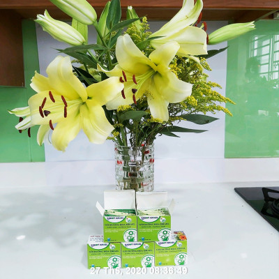 Set 50 gói Bột Dung Dịch Dưỡng Hoa LILY Longlife Nhập khẩu Israel giúp hoa Lily tươi lâu gấp 2 lần, cánh hoa đậm màu và 14 ngày không thay nước cắm hoa (1 gói 5gr pha được 0.5 lít nước) 