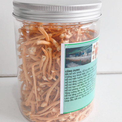 Đông trùng hạ thảo sấy thăng hoa - Hủ 10g