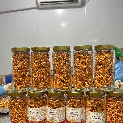 Combo 3 lọ khô 50gram thủy tinh Đông trùng hạ thảo sấy thăng hoa [Mua 2 được 3]