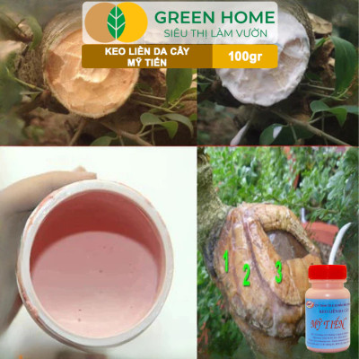 Keo Liền Sẹo Cho Cây Greenhome, Mỹ Tiến, Chai 100gr, Liền Nhanh Vết Cắt Da Cây, Chiết Cành, Tạo Dáng Bonsai, Lan, Kiểng