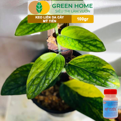 Keo Liền Sẹo Cho Cây Greenhome, Mỹ Tiến, Chai 100gr, Liền Nhanh Vết Cắt Da Cây, Chiết Cành, Tạo Dáng Bonsai, Lan, Kiểng