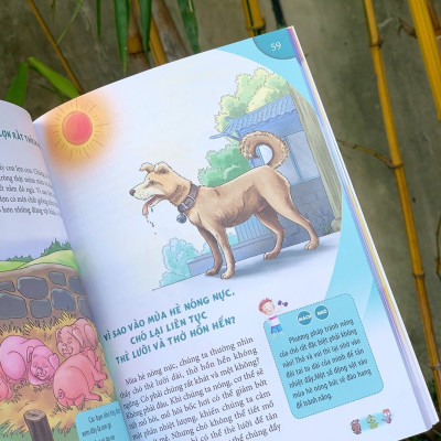 Combo sách:  10 Vạn Câu Hỏi Vì Sao (2023 _ Không Hộp _ 5 Cuốn)