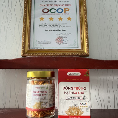 Đông trùng hạ thảo Vacofarm 30g thủy tinh sấy thăng hoa, mua 1 tặng hộp 10g,Mua 2 tặng 1 cùng loại