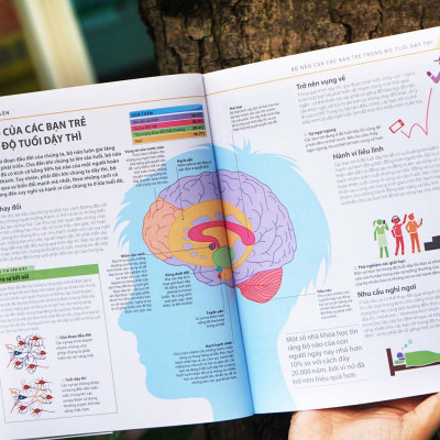 Sách Bách Khoa Thư Về Phát Triển Kỹ Năng - Tuổi Dậy Thì – Đinh Tị