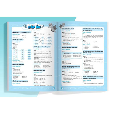 Sách - Đề Ôn Luyện Và Tự Kiểm Tra Tiếng Việt Lớp 1 -  Combo 2 Tập - Megabook