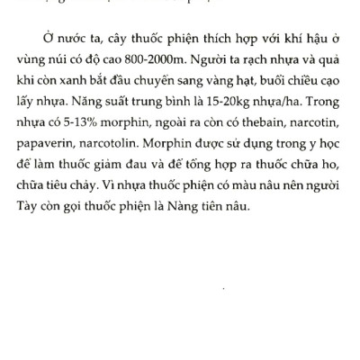 	Hỏi Đáp Về Mọi Chuyện - Khoa Học Xã Hội _HNB