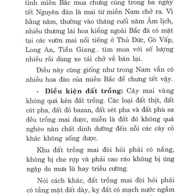 Trồng Mai - Kỹ Thuật Bón Tưới, Phòng Trừ Sâu Rầy, Bệnh Hại