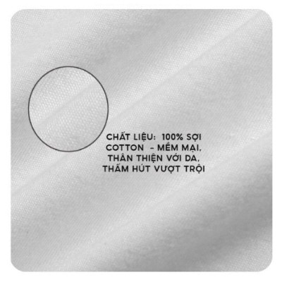 Combo 2 Áo lót đông xuân tay ngắn, chất cotton hữu cơ mềm mại, chất lượng hàng xuất khẩu loại 1