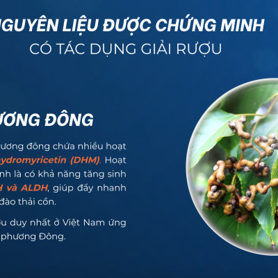Nước giải rượu, mát gan JOWOW (100ml x 1 Chai)