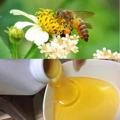 Mật Ong Hoa Xuyến Chi Viettin Mart Chai 1 lít