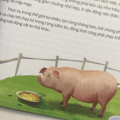 Combo Hỏi Nhỏ Biết To (Bộ 8 Cuốn) 