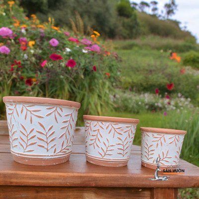 Bộ 3 Chậu Vót Sơn WAX Vân Lá Liễu