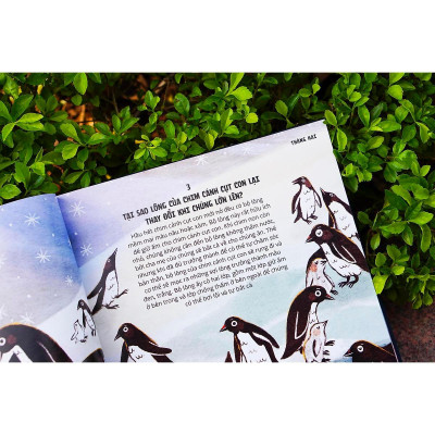 Sách - Everything Under The Sun - 366 Câu Hỏi Lý Thú Của Trẻ - Đinh Tị Books