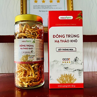 Combo 3 lọ khô 50gram thủy tinh Đông trùng hạ thảo sấy thăng hoa [Mua 2 được 3]