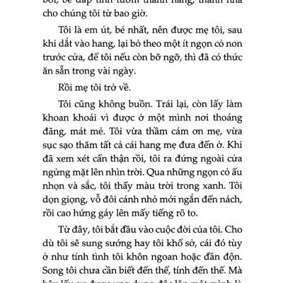 Sách - Dế Mèn Phiêu Lưu Ký - Diary Of A Cricket - Song Ngữ - Tiếng Anh - Tiếng Việt (Tái Bản 2025)