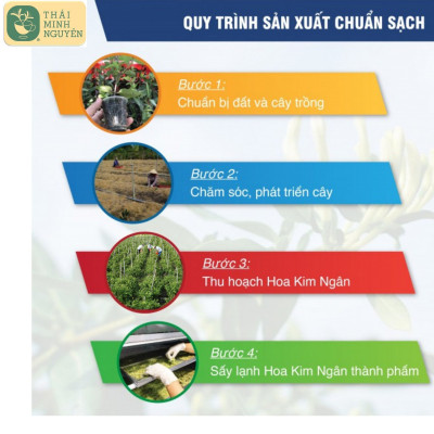 TRÀ KIM NGÂN TÚI LỌC 20G - THÁI MINH NGUYÊN