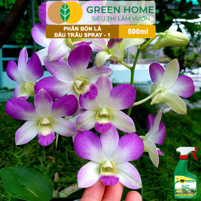 Phân Bón Lá Đầu Trâu Spray-1 Greenhome, Bình Điền, Chai 500ml, Nảy Chồi Ra Lá, Chuyên Lan Và Hoa Kiểng