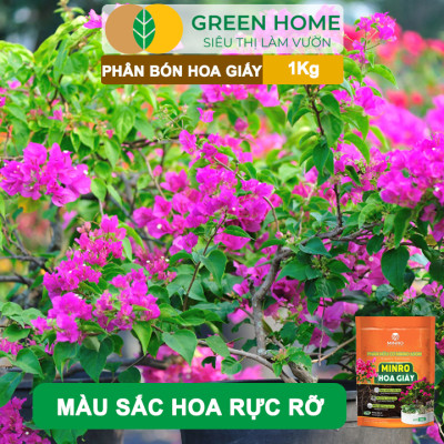 Phân Bón Hoa Giấy Greenhome, Minro, Bao 1kg, Hữu Cơ, Cứng Thân, Tạo Tán, Ra Bông Nhiều, Lâu Tàn
