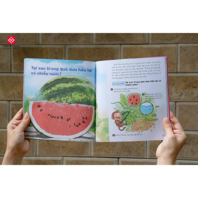 Sách - Wow, Thì Ra Là Thế - Đinh Tị Books