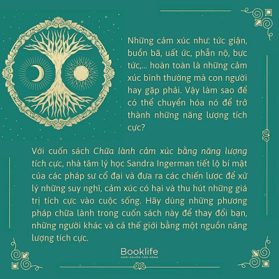 Sách - Chữa Lành Cảm Xúc Bằng Năng Lượng Tích Cực - Sandra Ingerman - 1980 Books