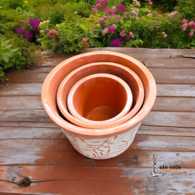 Bộ 3 Chậu Vót Sơn WAX Vân Lá Liễu