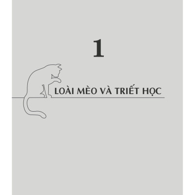 Mèo Và Triết Lý Nhân Sinh