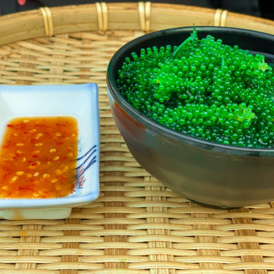 Rong nho biển GREEN FOOD - Sea grapes - Giàu vitamin, khoáng chất và các axit amin  (Hộp 100g)